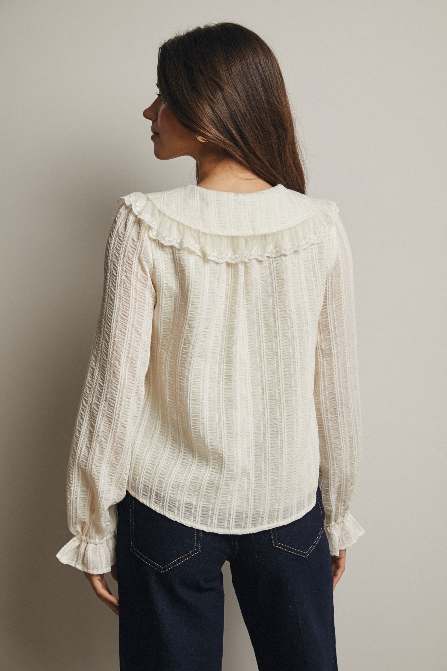 Embroidered Collar Textured Blouse