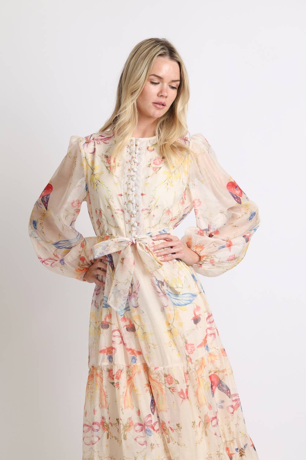 Multicolor Print Sheer Maxi Puff Dress