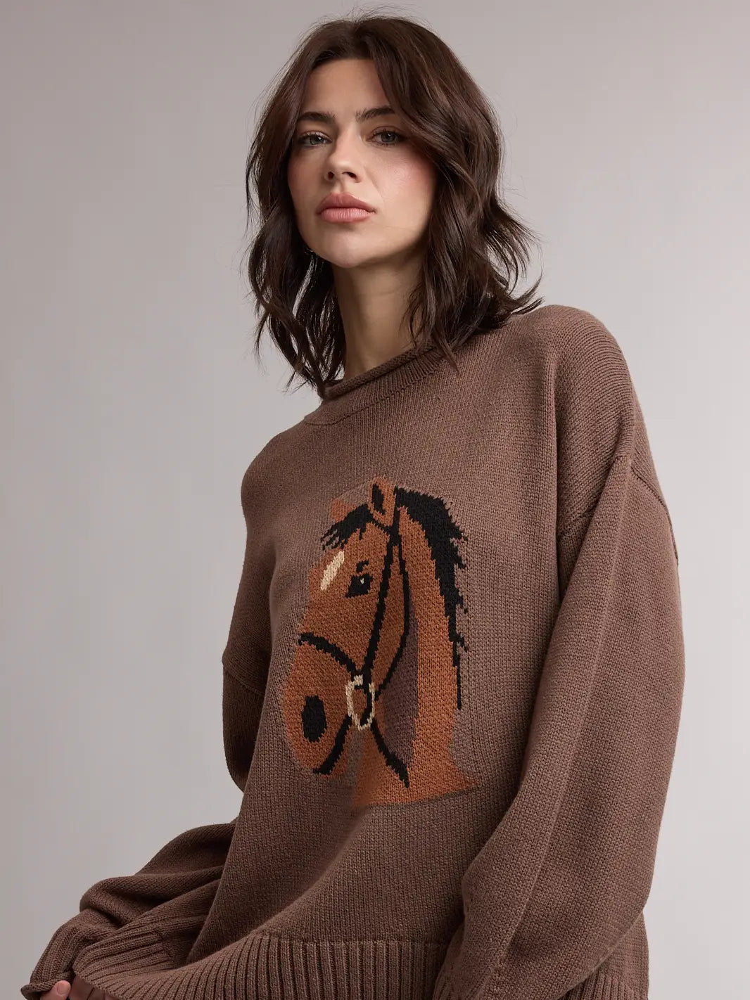 HORSE HEAD SWEATER